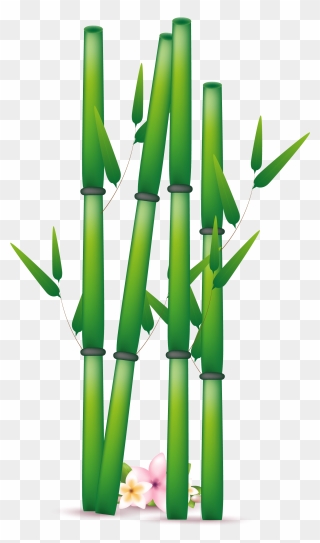 One Clipart Bamboo, One Bamboo Transparent Free For - Bamboo Leaf Bamboo Free Clipart - Png Download