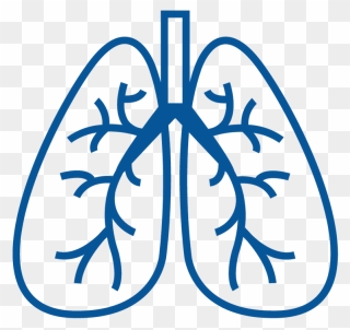 Chronic Obstructive Pulmonary Disease - Respiratory System Png Icon Clipart