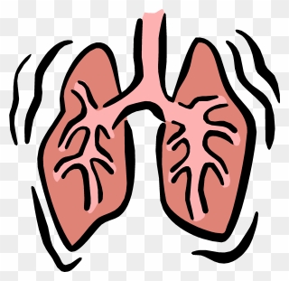 Pptx On Emaze - Respiratory System Clipart Png Transparent Png