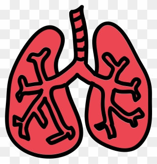 Lungs Png - Lungs Cartoon Png Clipart