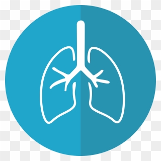 Transparent Nursing Diagnosis Clipart - Lung Graphic - Png Download