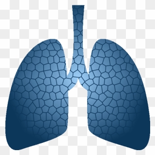 Lung Report Sample - Museo Soumaya Clipart