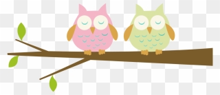 Baby Owl Clipart - Png Download