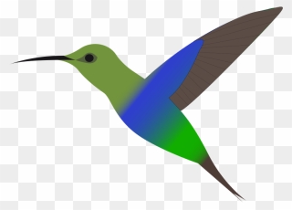 Hummingbird Clip Art - Png Download