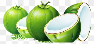 Dodol Coconut Water Nata De Coco Coconut Milk - Transparent Green Coconut Png Clipart