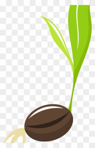 Chocolate Clipart