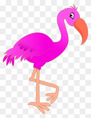 Flamingo Clipart - Birds Drawing With Name - Png Download
