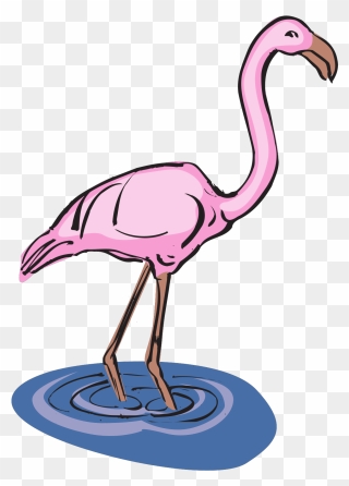 Pink Flamingos In Water Clipart - Png Download