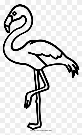 Flamingo Drawing Outline - Outline Flamingo Clipart - Png Download