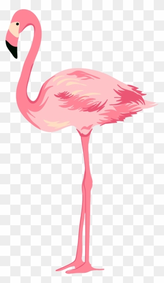 Flamingo Transparent Background - Transparent Background Flamingo Png Clipart