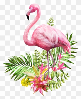 Flamingo Transparent Vector - Transparent Background Flamingo Png Clipart