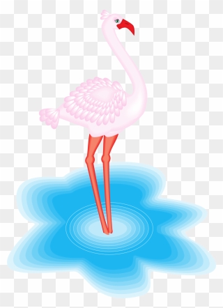 Flamingo Na Agua Png Clipart