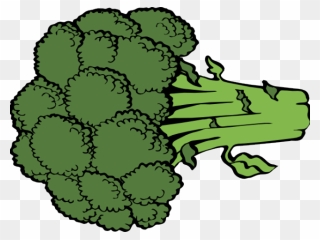 Broccoli Cliparts - Broccoli Png Clipart Transparent Png