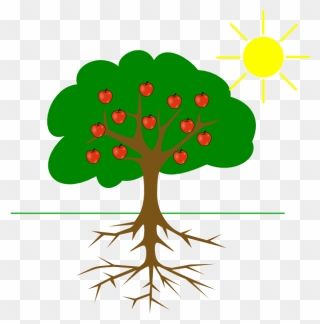 Apple Tree With Roots Clipart