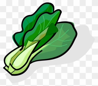 Cabbage Clipart Bok Choy - Bok Choy Vector Png Transparent Png