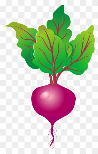 Cartoon Beetroot Png Free Clipart
