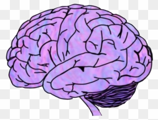 #brain #scary #crippy #mozak #purple #pink #organ #head - Brain Transparent Clipart