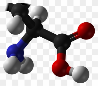 Maple Syrup Urine Disease - Amino Acid Molecule Png Clipart