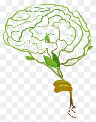 Brain Clipart