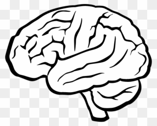 Neuromarketing Drawing Clipart
