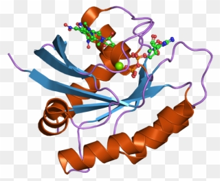Pdb 2ce2 Ebi - Hras Protein Clipart