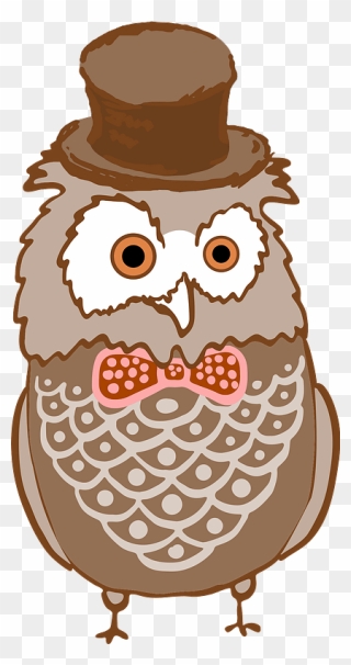 Owl In A Hat Clipart - Clip Art - Png Download