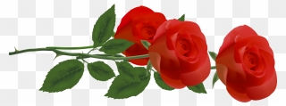 Rose Flower Clip Art - Rose Border Png Transparent Png
