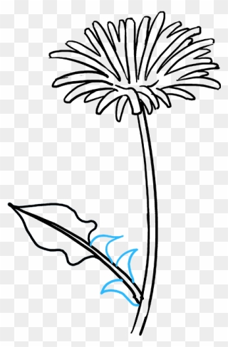 Draw A Dandelion Clipart