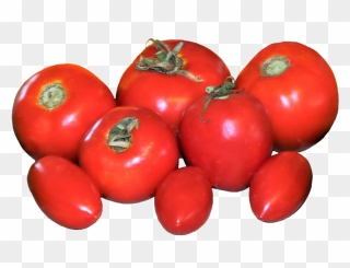 Fresh Tomatoes Clipart - Plum Tomato - Png Download