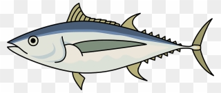 Albacore Fish Clipart - Tuna Fish Clipart - Png Download