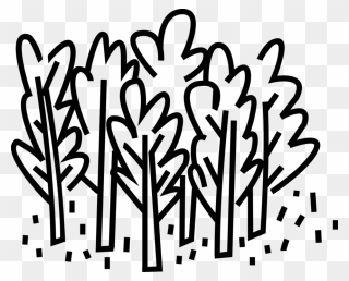 3 Vector Deciduous Forest - Deciduous Forest Easy Drawing Clipart