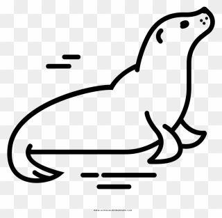 Drawing Seal Clipart - Seal Drawing Png Transparent Png