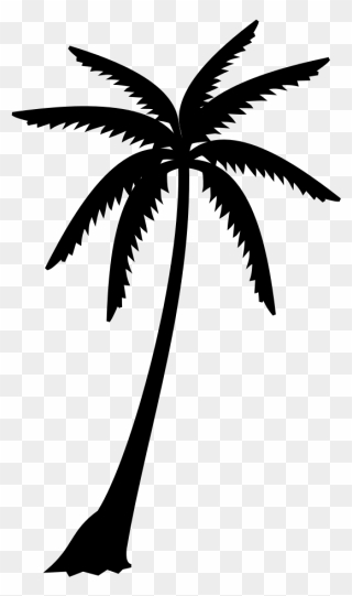 Palm Trees Black & White - Black And White Images Of Palm Trees Clipart