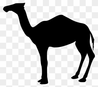 Line Art,wildlife,silhouette - Camel Silhouettes Png Clipart