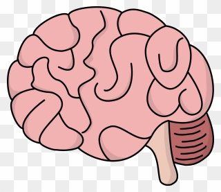 Thumb Image - Brain Clipart - Png Download
