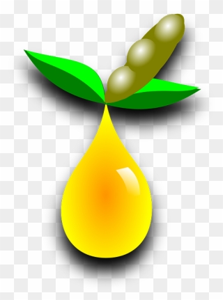 Free Photo Agriculture Soy - Biofuel Plants Transparent Clipart
