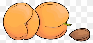 Apricots And An Apricot Kernel Clipart - Apricot Clipart - Png Download