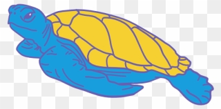 Turtle Bay - Sea Turtle Clipart