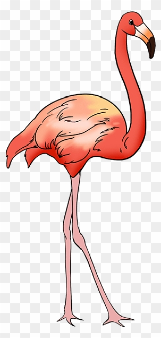 How To Draw Flamingo - Draw Flamingo Clipart