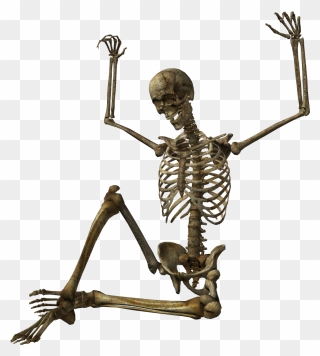 Skeleton Png Transparent Skeleton Images Pluspng - Skeleton Png Clipart
