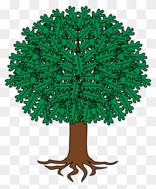 Plant,leaf,tree - Coat Of Arms Oak Tree Clipart