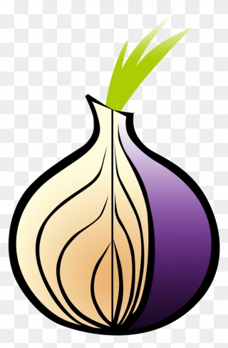 Tor Onion Clipart
