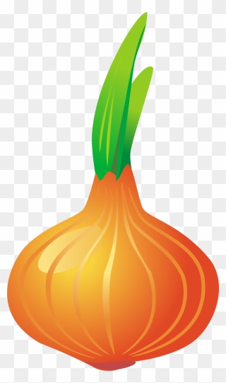 Onion Clipart