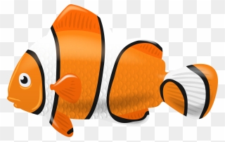 Clownfish Computer Icons Clip Art - Clown Fish Picture Transparent Background - Png Download