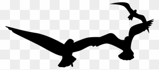 Seagulls Svg Clip Arts - Silhouette - Png Download