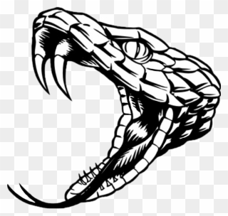 Transparent Snake Head Clipart - Rattlesnake Black And White - Png Download