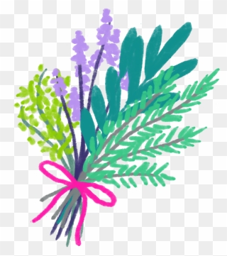 Lavender Clipart