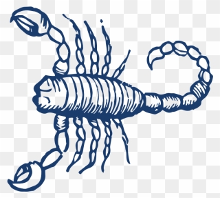 Scorpio Symbol Clipart