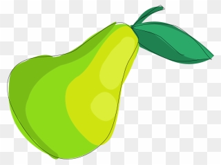 Transparent Avocado Clipart Png - Pear Png Cartoon