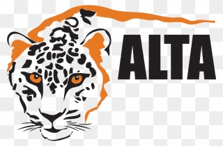 Transparent Wild Cat Clipart - Amur Leopard And Tiger Alliance - Png Download